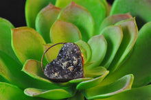 Load image into Gallery viewer, Amethyst Druzy in Matrix Power Heart Pendant