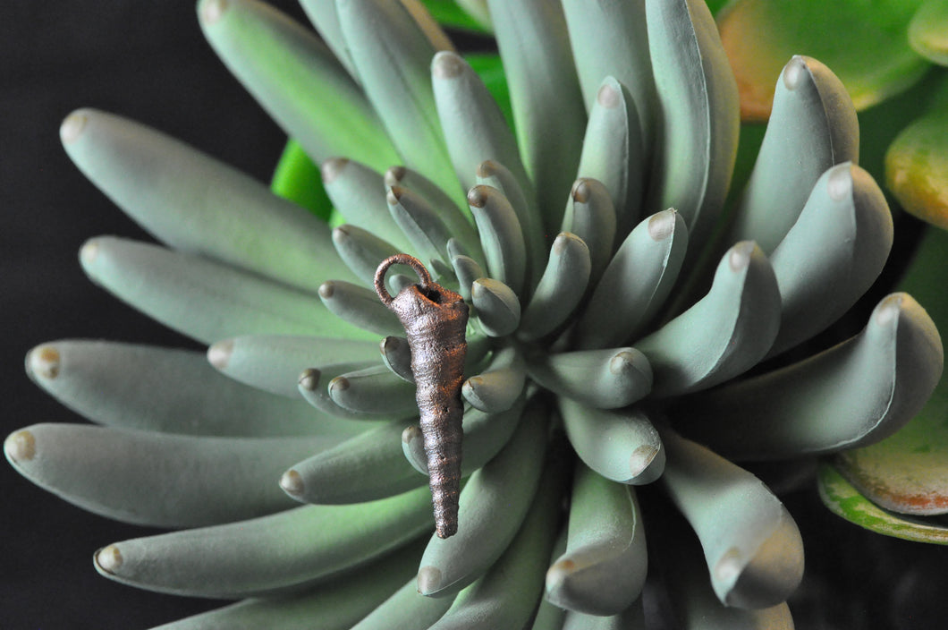 Simple Seashell Pendant #4